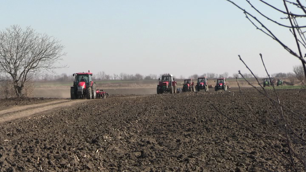 Poljoprivrednici iz Kovačice ravnali atarske puteve